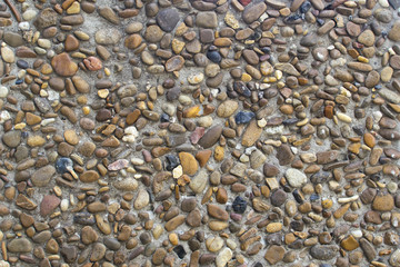 Beautiful stone wall background texture. pebble texture in concrete, small pebbles on the wall, on the floor.