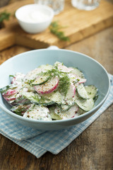 Radish and cucumber salad with sour cream or yogurt dressing