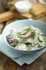 Radish and cucumber salad with sour cream or yogurt dressing