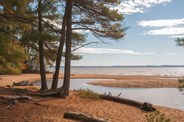 Deserted shore of the lake in the autumn. Beautiful coniferous trees on the shore. USA. Maine.
