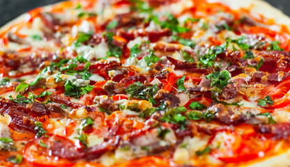 Pizza with Mozzarella cheese, Ham, Tomatoes, salami, pepper, bacon, pepperoni, Spices and Fresh Basil. Italian pizza on black background