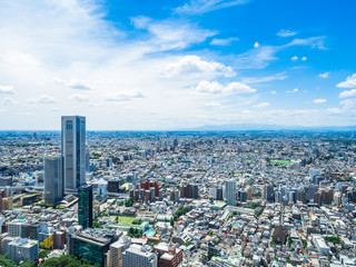 Fototapeta na wymiar 都庁が眺める東京都市風景