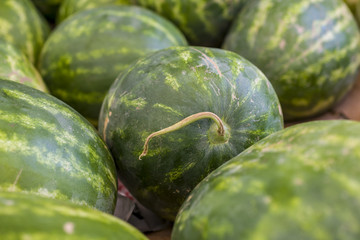 Watermelons in market