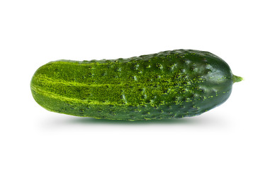 One big cucumber isolated on white background. Fresh whole vegetable. Summer dishes ingredient. Cut out element for advertising layout, packaging design. Organic farm food. Seasonal harvest. Side view