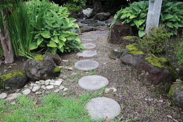 自然, 庭, あばたのある, パス, 森, 緑, 木, 植える, 草, 風景, サマータイム, 道, 岩, 水, 公園, コケ, トレイル, 葉, ステップ, とぶ, 木, ナチュラル, 木の葉, 岩