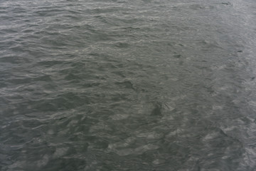 lake water with green colour and waves
