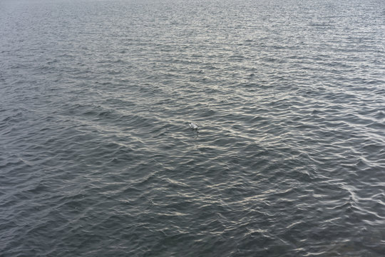 lake water with green colour and waves