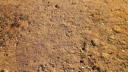 Brown sand as background.