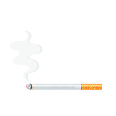 Realistic burning cigarette with smoke. Vector illustration isolated on white background.