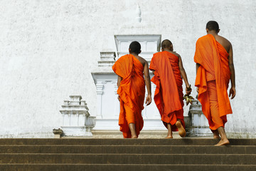 monks coming in ruwanwelisaya stupa in anuradhapura historical parc ,Sri Lanka