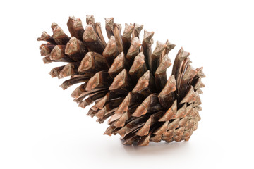 Christmas pine cone on white background.