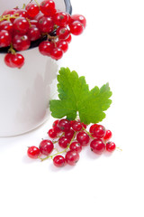 White cup with red currant berry in it and small bunch of red currant with green leaf  isolated on white..