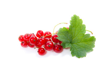 Red currant berry isolated on white. A bunch of red currant..