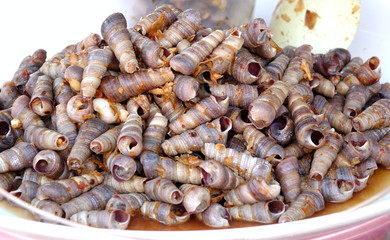 Boiled Sea Snails with Chili