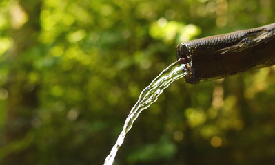 Water stream in wooden pipe in Black forest