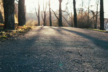 Footpath in the park at sunrise, view from the ground