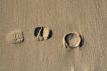 Fototapeta na wymiar A footprint and remain of jellyfish on nice sandy texture at low tide - abstract background texture