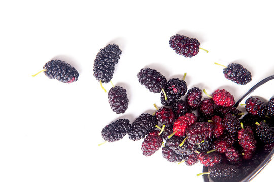 White cup with black mulberry fruit isolated on white
