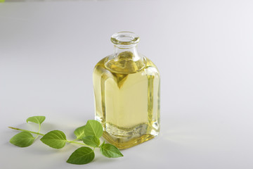  sunflower oil, vegetable, olive oil in glass bottle