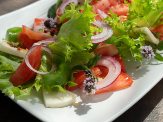 vegetable salad on a white plate, dark background, copy space