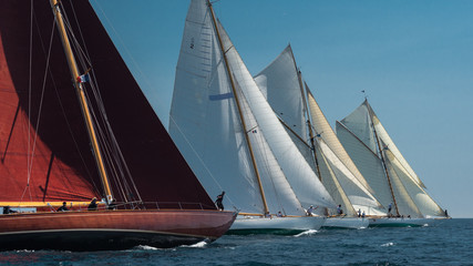 French Riviera - Old sail race start aligned in Antibes