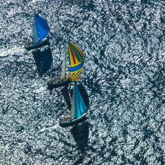 French Riviera - modern sail race colors aerial view in St - Tropez