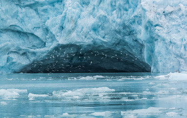 Norway - Svalbard Spitzberg glacier ice cave with birds