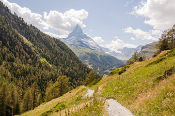Zermatt, Findeln, Findelbach, Findelschlucht, Matterhorn, Alpen, Wallis, Wanderweg, Walliser Berge, Sunnegga, Bergwiesen, Sommer, Schweiz