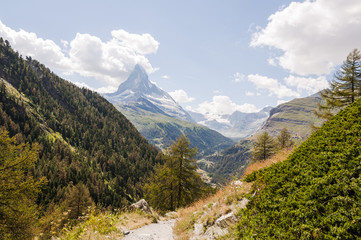 Obraz premium Zermatt, Findeln, Sunnegga, Wanderweg, Findelbach, Findelschlucht, Matterhorn, Alpen, Wallis, Schweizer Berge, Sommer, Schweiz