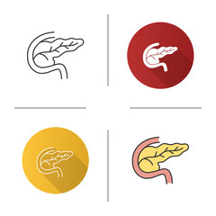 Pancreas and duodenum icon