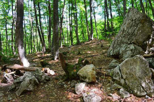 Path to mount Boyka