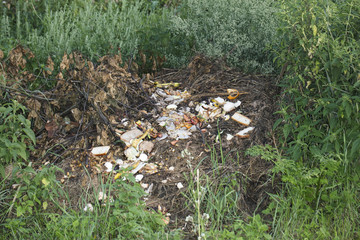 food waste as the basis for compost