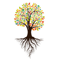 Autumn silhouette of a tree with colored leaves. Tree with roots. Isolated on white background. Vector - 216966859