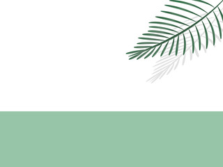 text area in mint green with exotic palm leaf in 3D with shadow