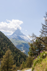 Zermatt, Findeln, Findelbach, Findelschlucht, Wanderweg, Sunnegga, Matterhorn, Wallis, Alpen, Schweizer Berge, Bergkr&auml;uter, Sommer, Schweiz