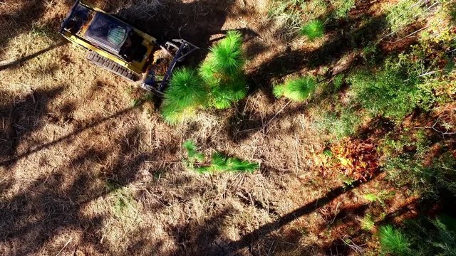 directly over head aerial shot over a tree while a bush hog is clearing trees and making mulch