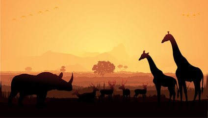 Wild animals silhouette