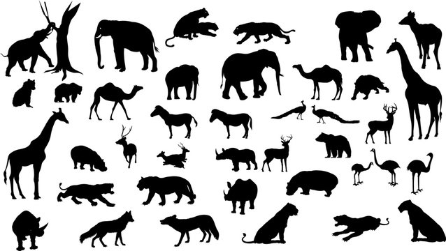Download 55 845 Best Safari Animal Silhouette Images Stock Photos Vectors Adobe Stock
