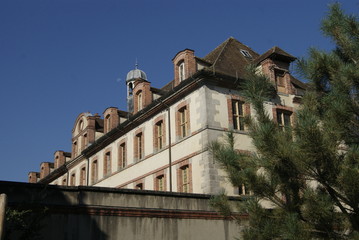 SONY DSC