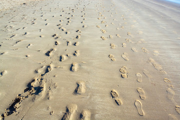 Footprints and trails on sandy beach at low tide on summer evening - 2