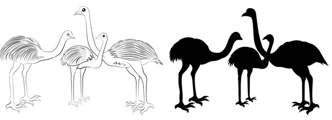 Wild animals silhouette, ostrich