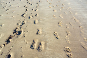 Footprints and trails on sandy beach at low tide on summer evening - 3