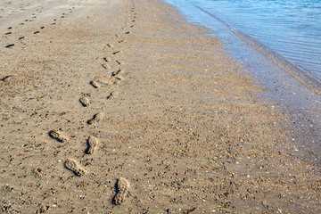 Footprints and trails on sandy beach at low tide on summer evening - 4