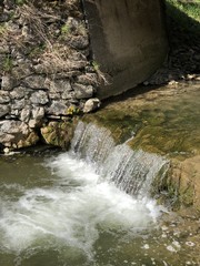 Naklejka premium pieniny