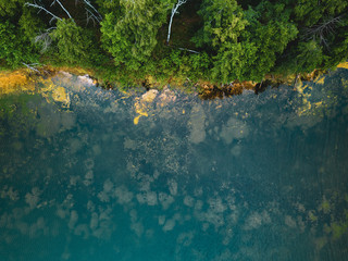 Aerial drone photo of green tree crones growing in lake shore, top down view, Russia