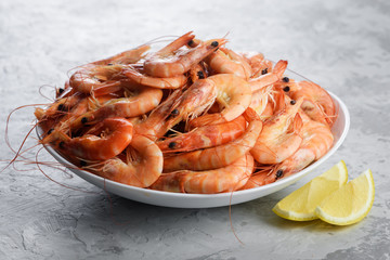 Big boiled shrimps in white plate close up. Seafood concept. Food photography