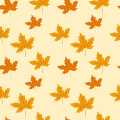 Seamless pattern of autumn leaves. Various veined leaves on white background.