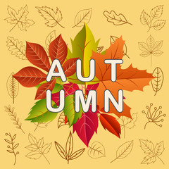 Autumn Background . vector illustation