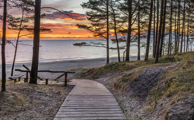 Scenic view  and resting area near a sandy beach of the Baltic Sea