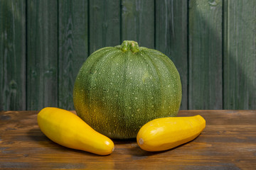 Fresh harvest of two kinds of zucchini
